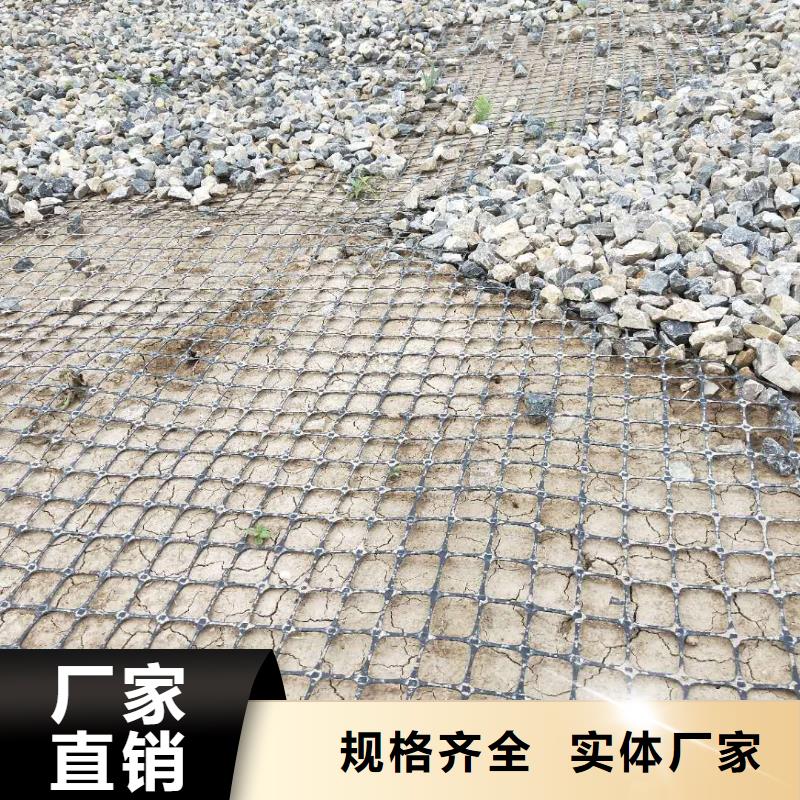 双向塑料土工格栅实力厂家