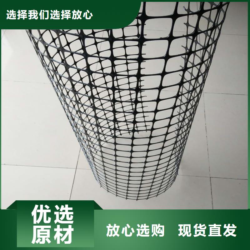 玻纤土工格栅实力厂家