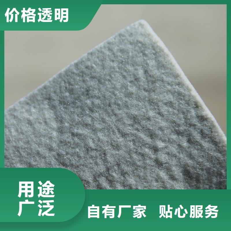 土工布双向塑料土工格栅专业厂家