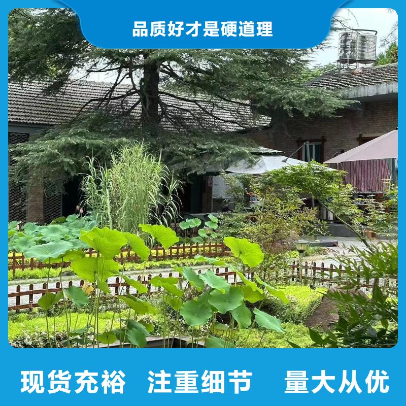 仪征市农村自建别墅定制