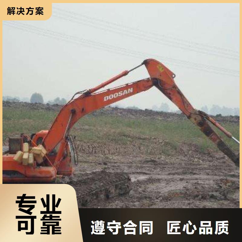 惠州生产
水陆挖机出租厂家加工