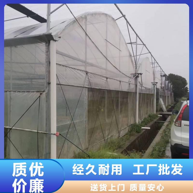 贵州省优选[金荣圣]纳雍县葡萄蔬菜大棚PO膜按需定制