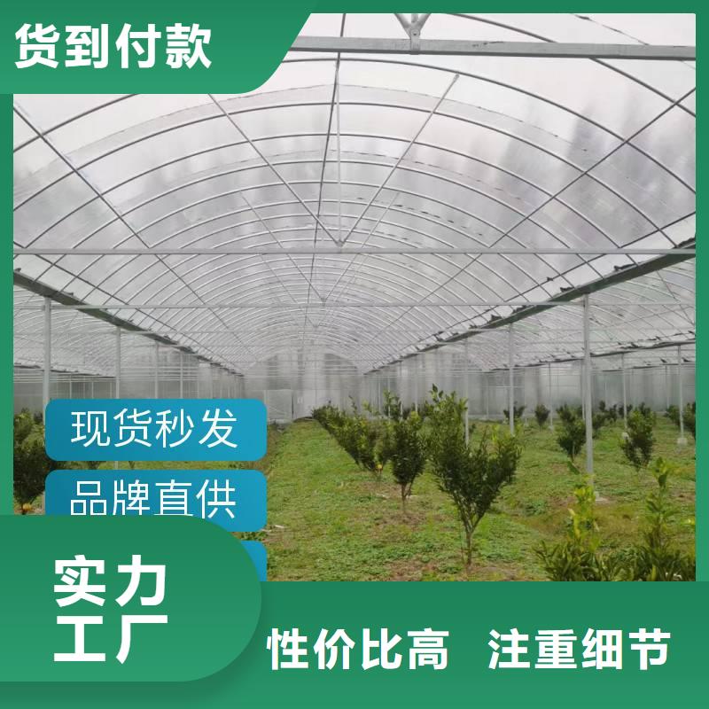 江海区葡萄连体避雨大棚工厂直销2023--09