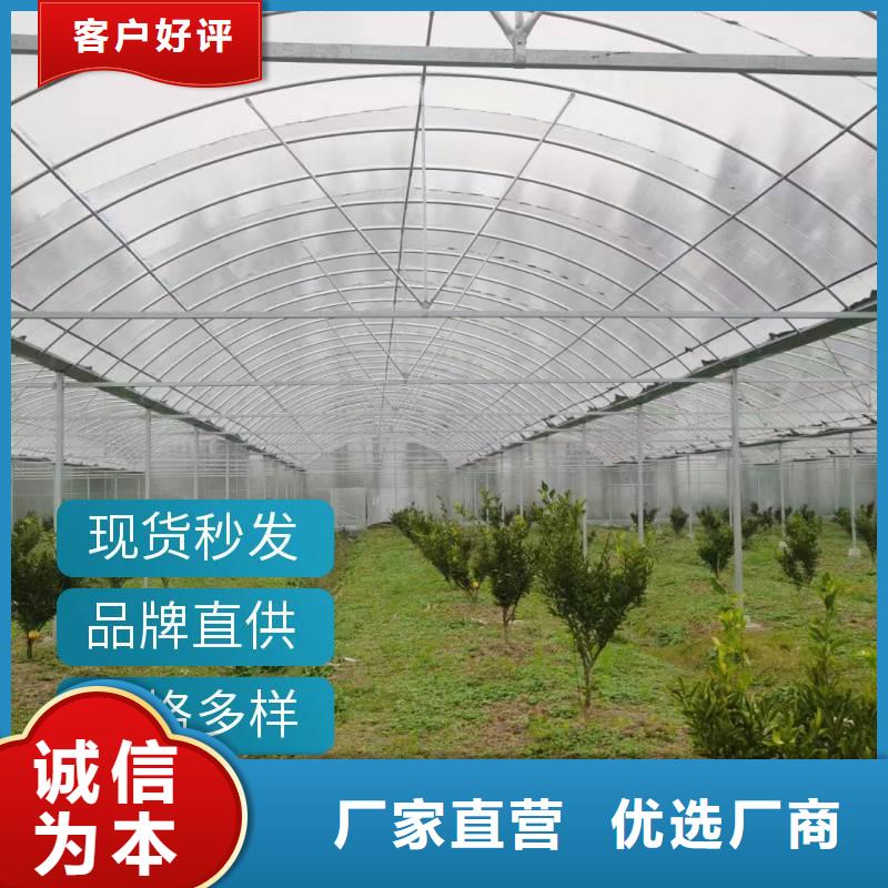 陕西省咸阳市厂家大量现货金荣圣县葡萄大棚钢管型号齐全