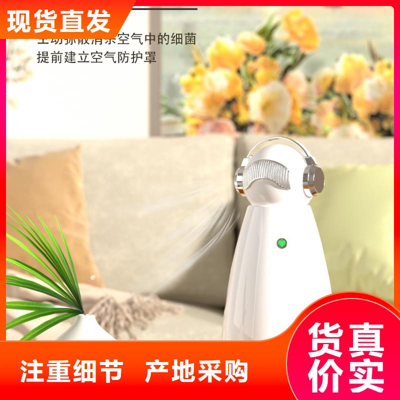 【深圳】空气机器人神器卧室空气净化器- 当地 《艾森》