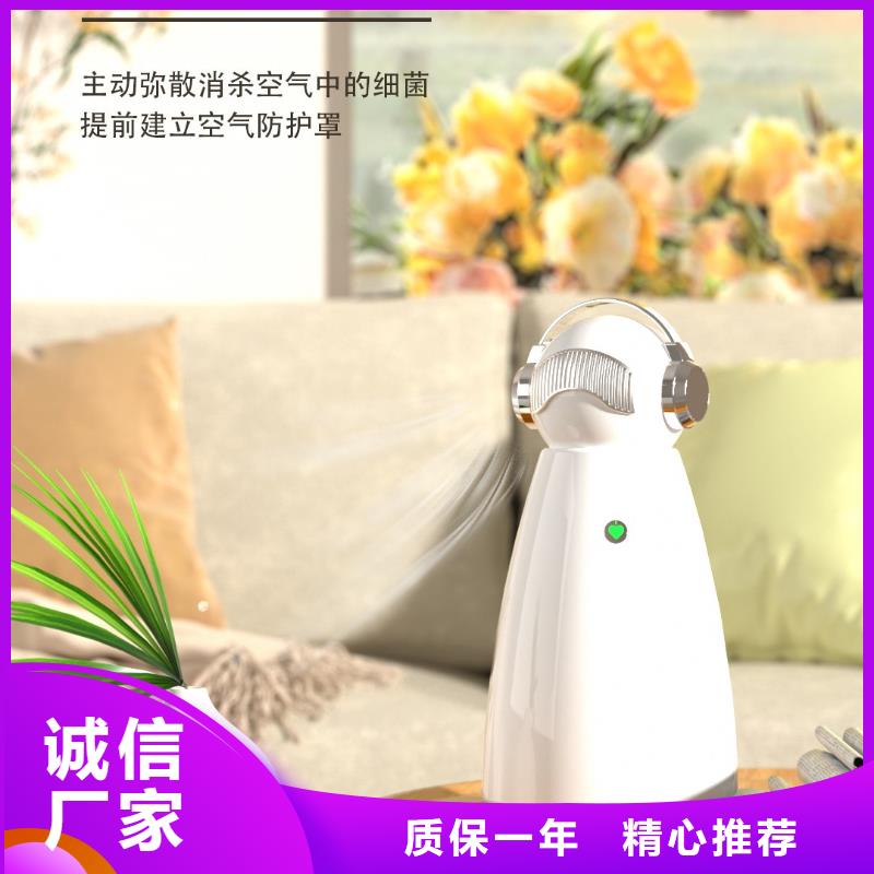 【深圳】一键开启安全呼吸模式批发价格小白空气守护机