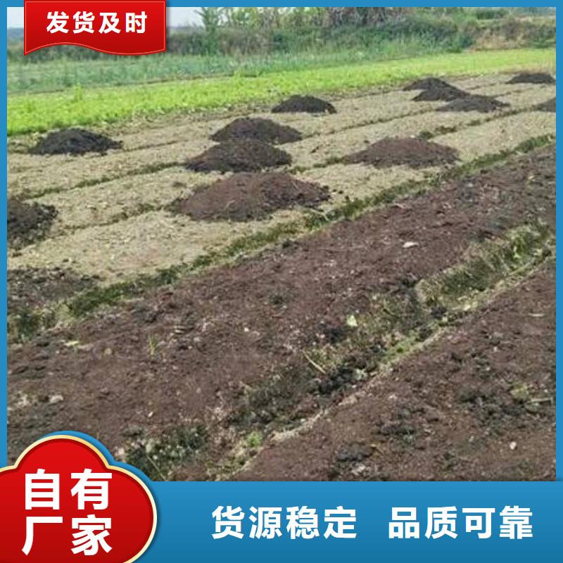山东潍坊寿光鸡粪有机肥增肥农田