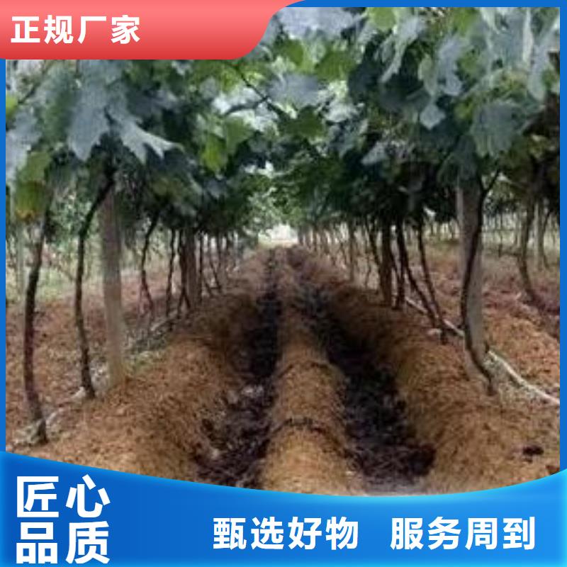 吉县万荣洛川羊粪有机肥增肥农田