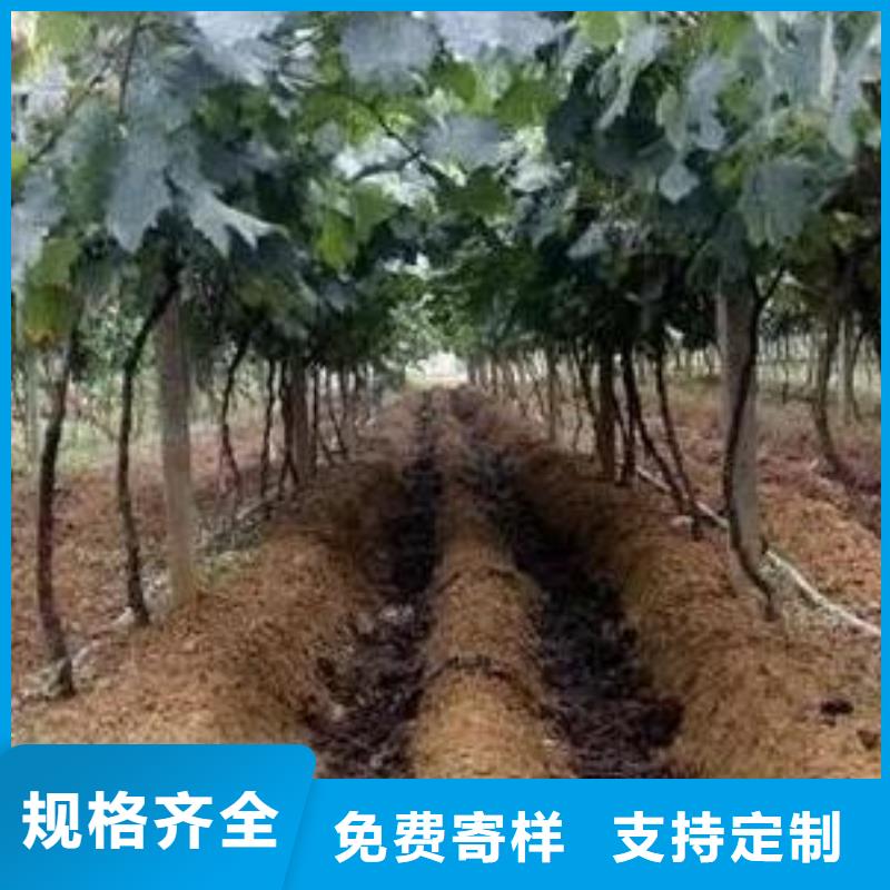 淮北亳州蚌埠鸡粪有机肥增肥农田