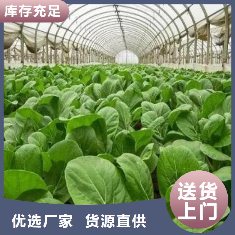 提升农产品质量北京张北张家口鸡粪