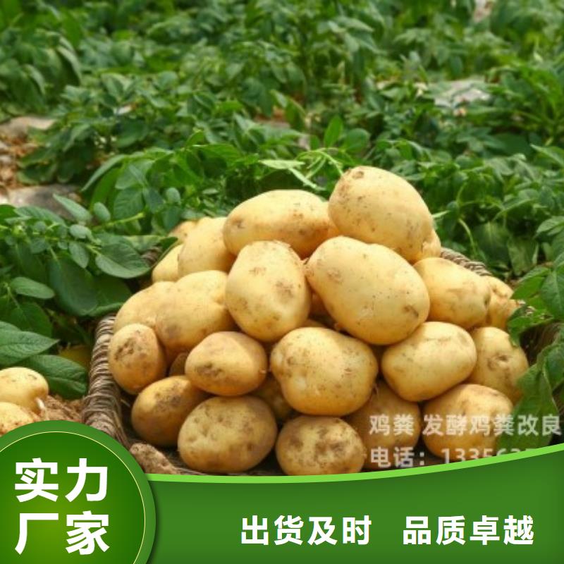 汕头市广澳街道稻壳鸡粪风吹干的
