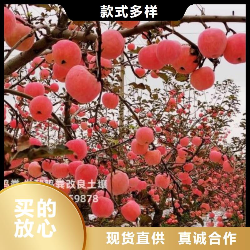 稻壳鸡粪来电咨询