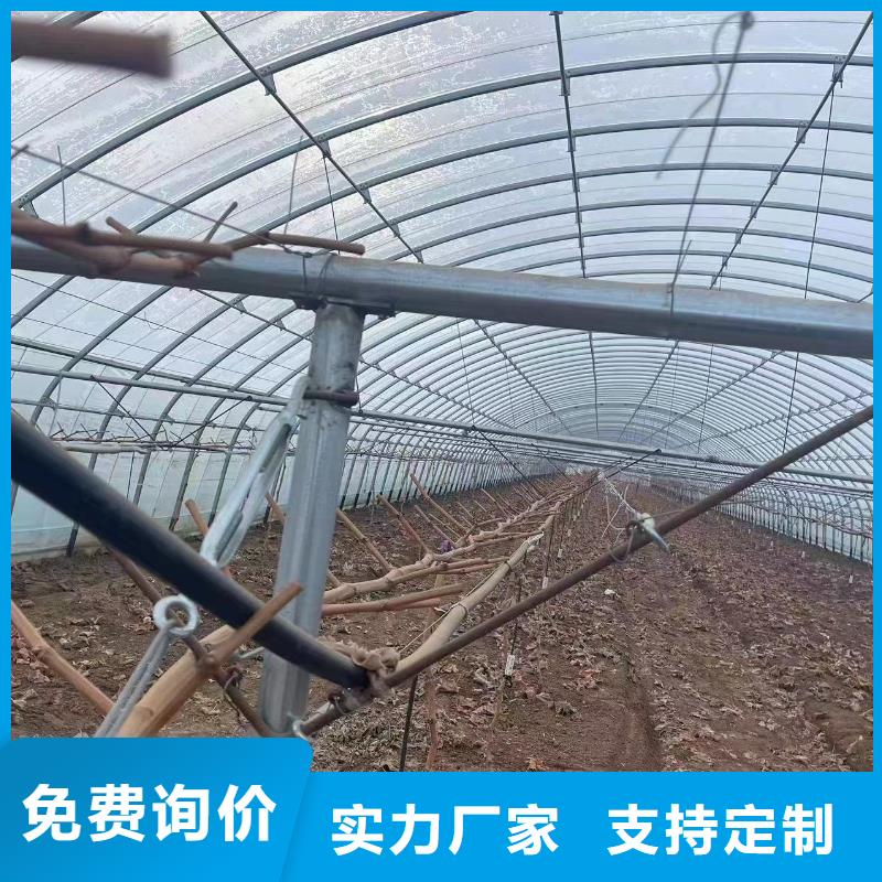 温室大棚,温室大棚水肥一体机精选货源