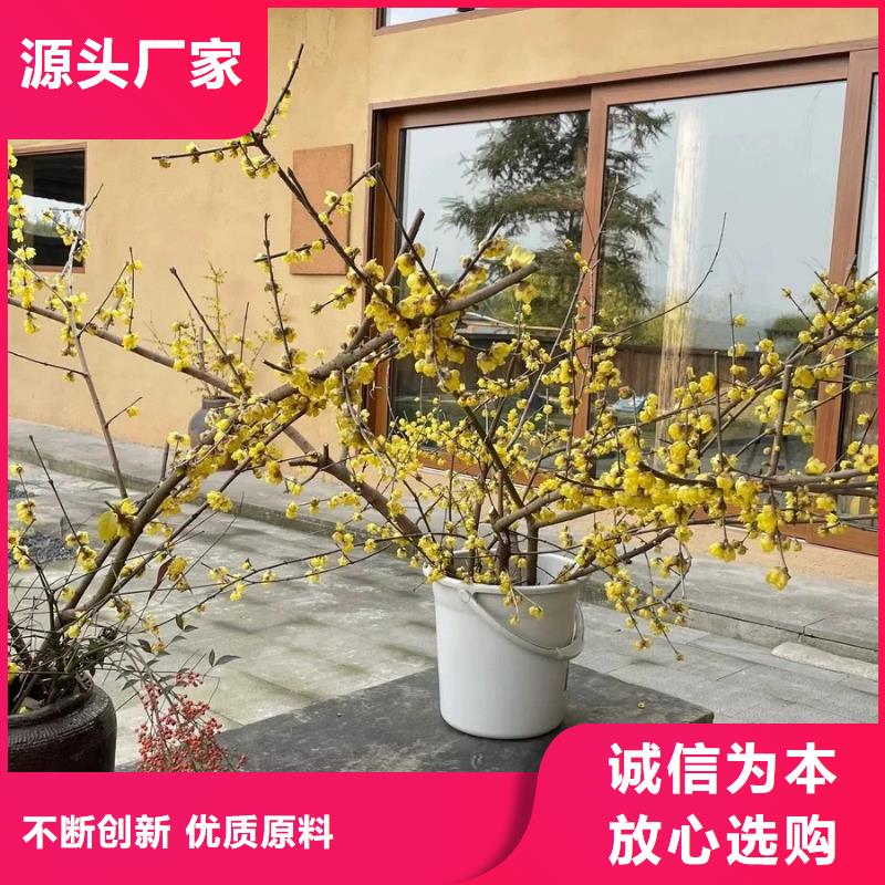 民宿改造稻草漆厂家批发，质优价廉，承接工程