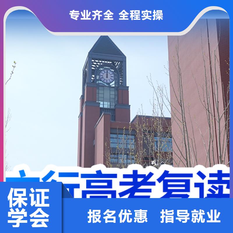高考复读高考语文辅导理论+实操