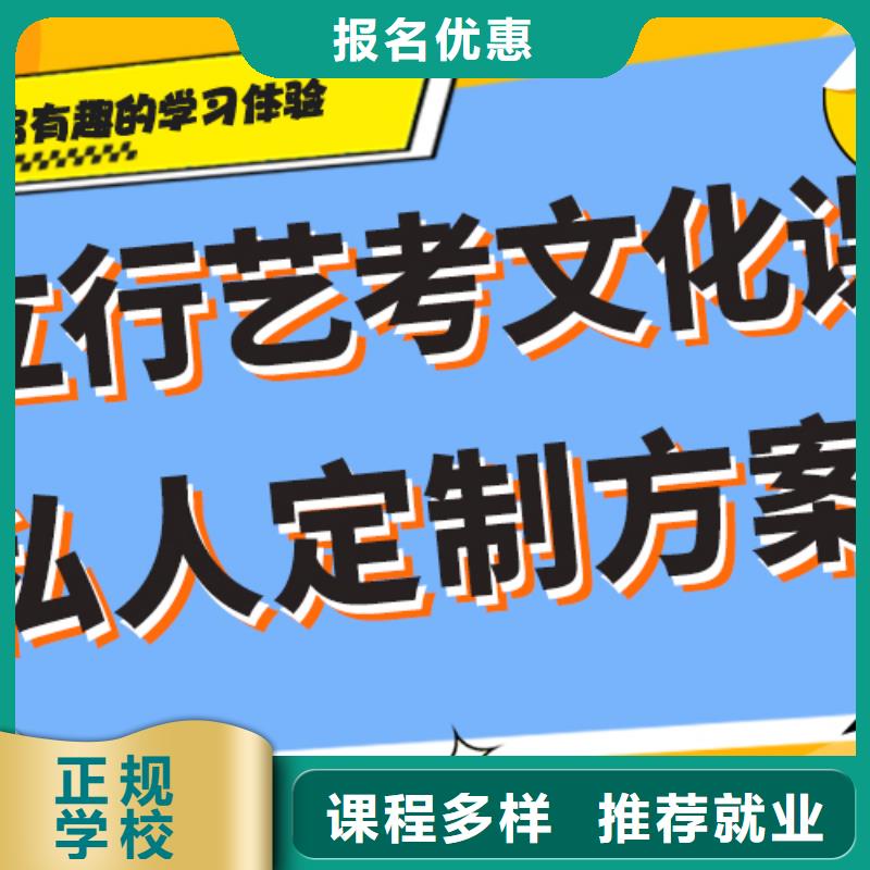 怎么选艺术生文化课分数线