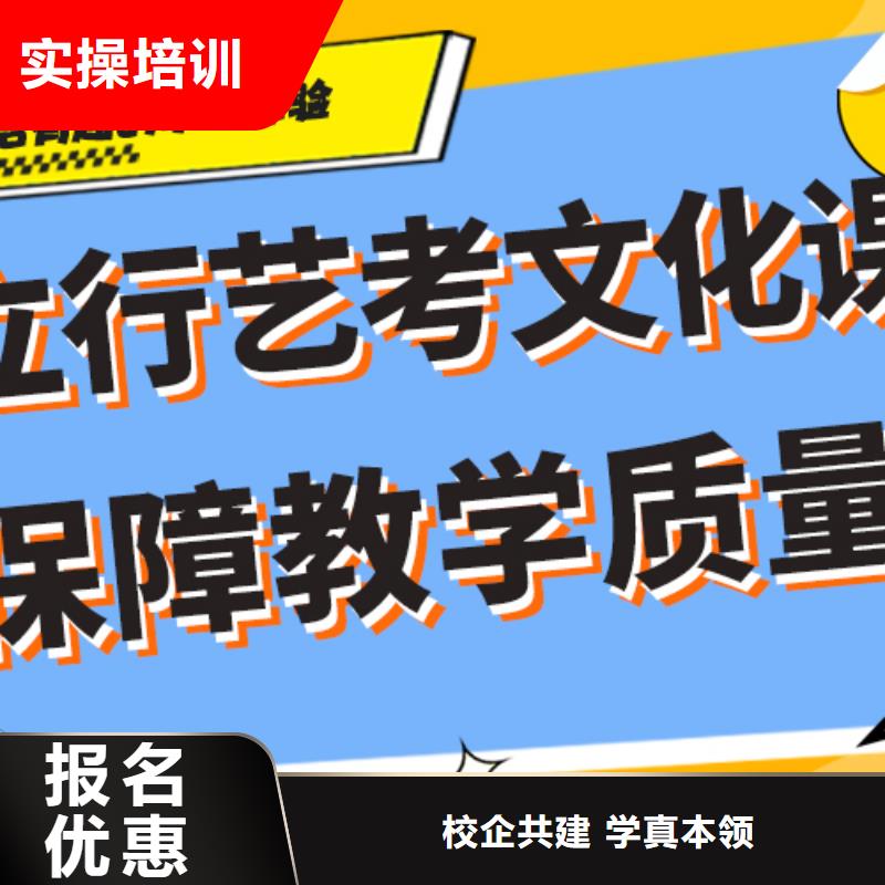 有哪些艺考生文化课辅导集训艺考生文化课专用教材