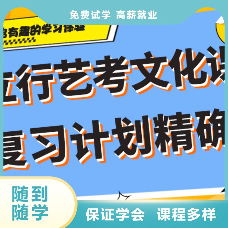 艺术生文化课培训补习一览表定制专属课程