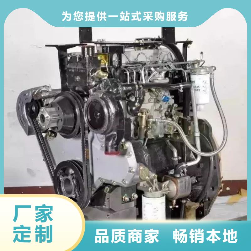 好货有保障【贝隆】专业销售292F双缸风冷柴油机-保质