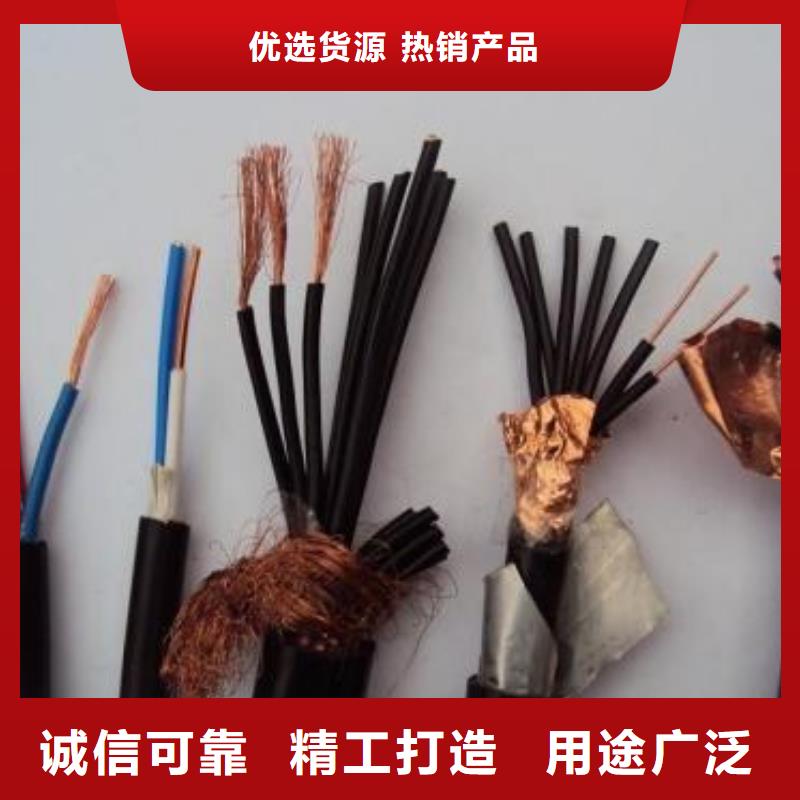 电线电缆-PTYA23电缆根据要求定制