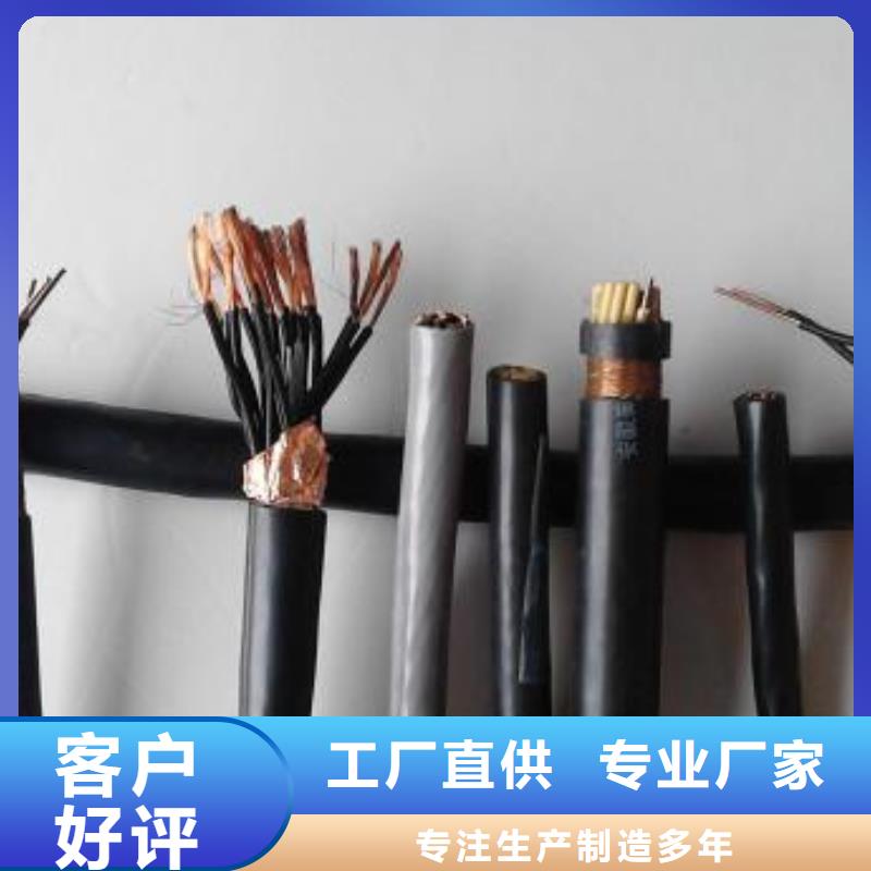 电线电缆【HYA22电缆】自主研发