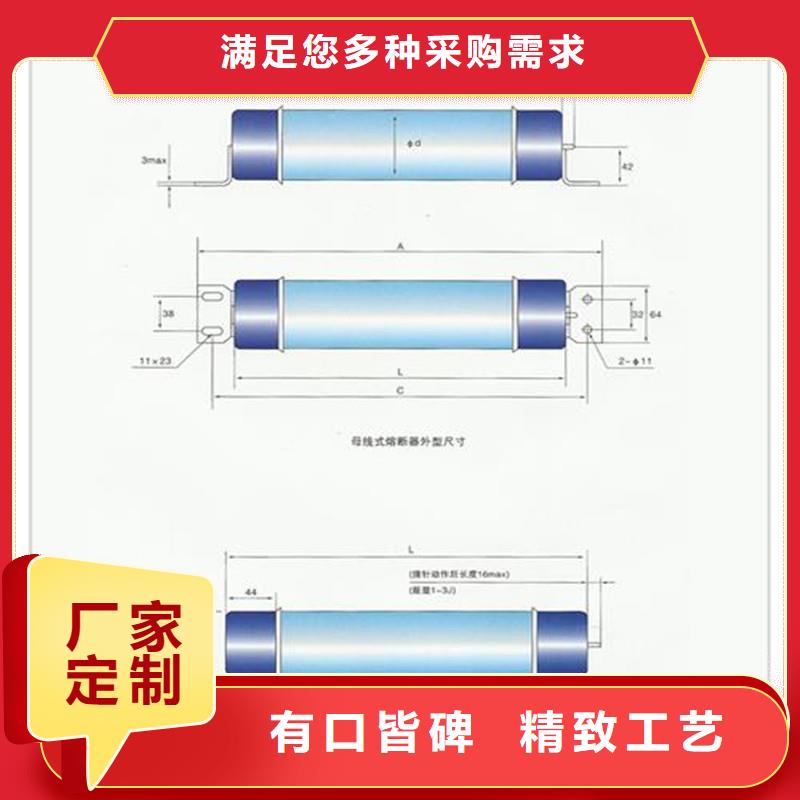 RN3-6/50高压限流熔断器