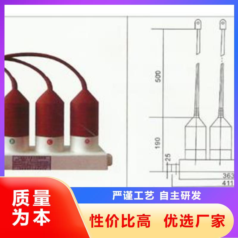 JCQ-10/1000避雷器在线监测器厂家