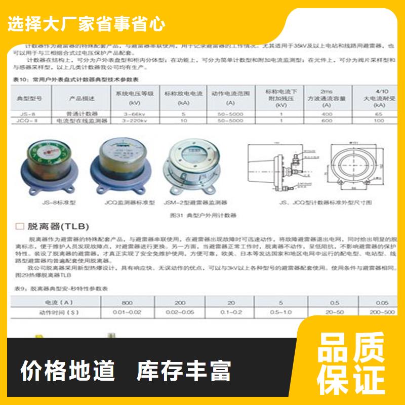 JS-10避雷器计数器图片