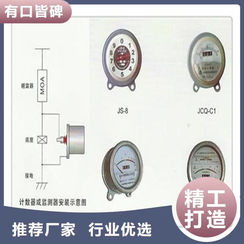 JSY-85避雷器计数器