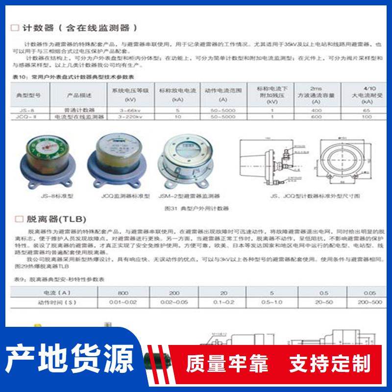 JCQ-MOA-2/800放电计数器图片