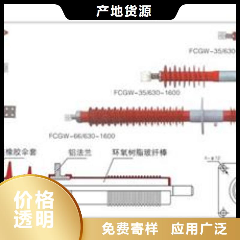 FCWB-10/2500硅橡胶穿墙套管