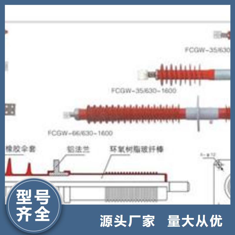 FCWW-10/630A复合套管