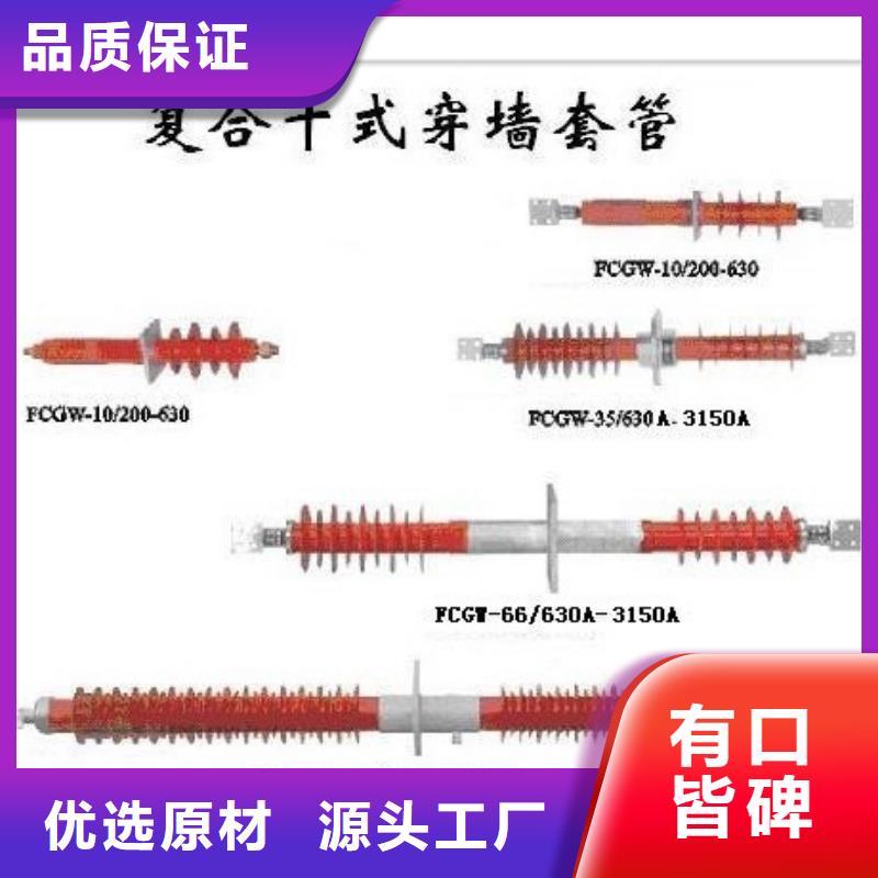 CWWB-35/630A-4陶瓷套管樊高