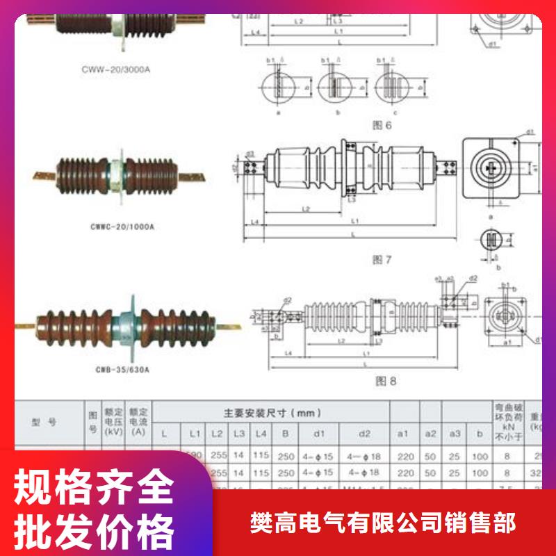 FCRG-10/1600高压复合穿墙套管