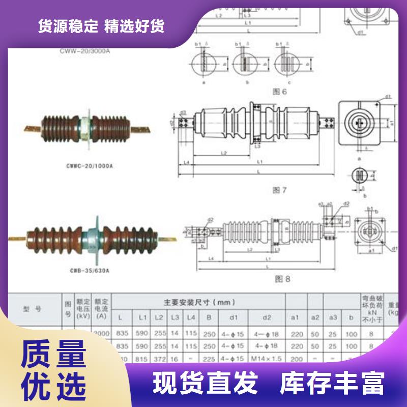 CWLB-20/4000A高压套管肇庆材质