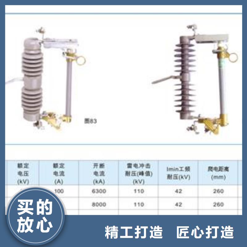 XRNM-10/125A开关柜PT管