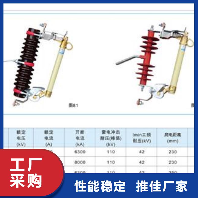 PD4-33/200A跌落保险樊高