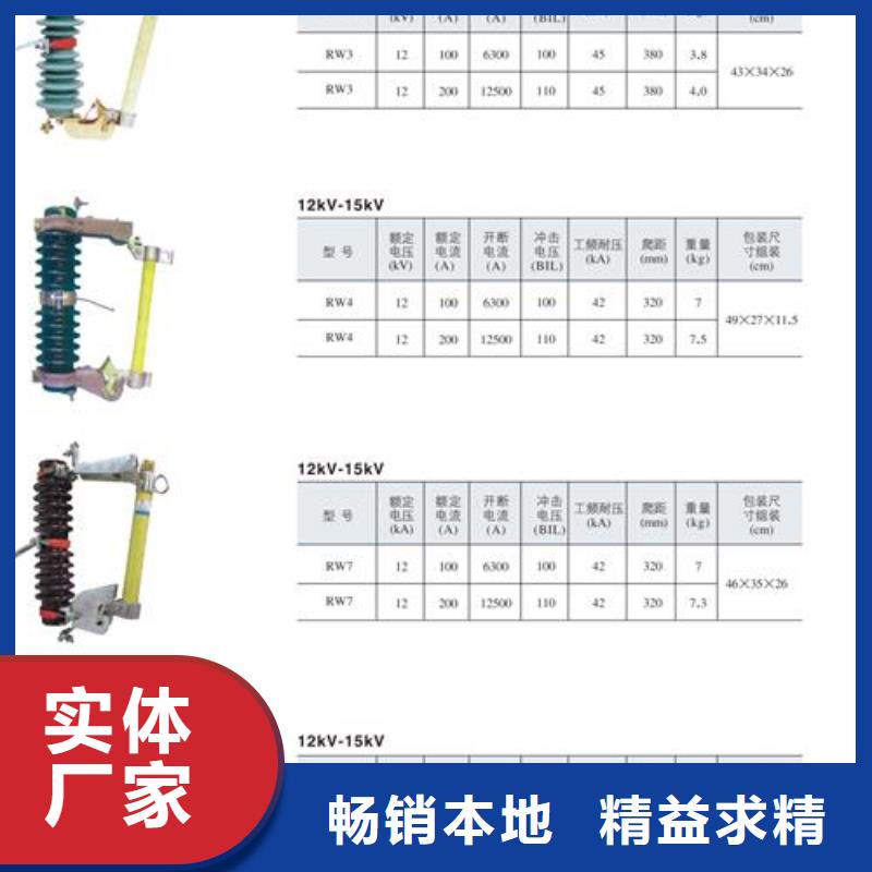 XRNP1-12/1A高压保险管