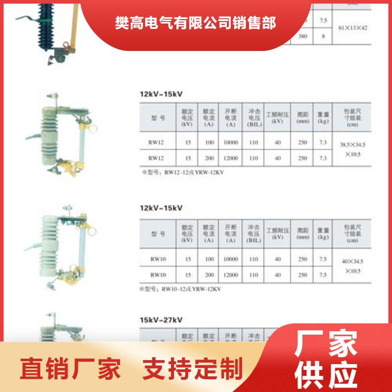 PD3-6KV/100A跌落式熔断器