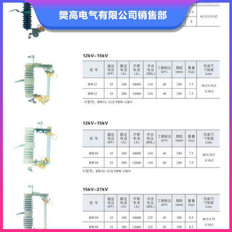 BR1-10/100A高压保险管