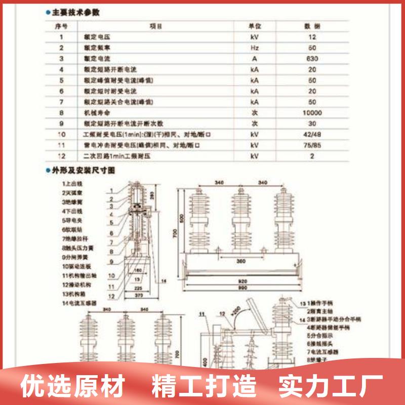 ZW7-40.5/T630-20永磁真空断路器樊高