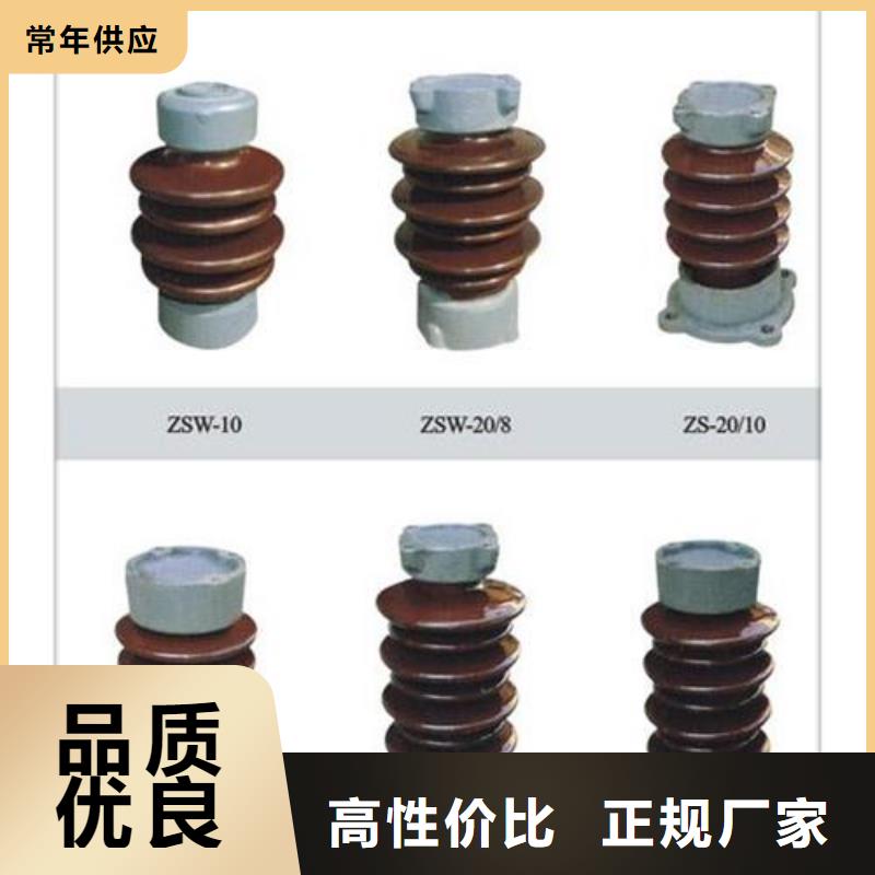 ZSW2-20/16高压绝缘子