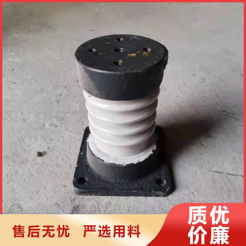 ZJ-10KV/85*140环氧树脂绝缘子