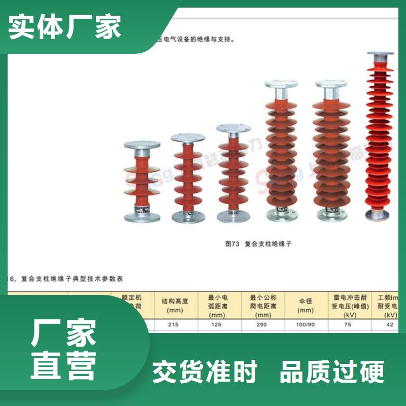 FZSW3-126/10复合绝缘子