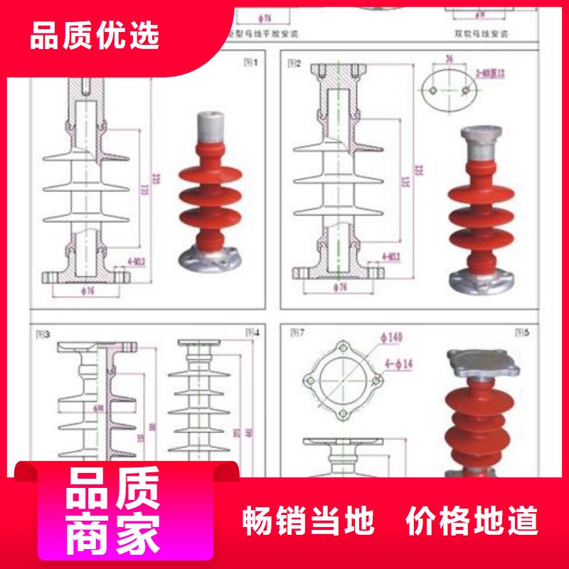 FZSW3-110/8高压硅胶绝缘子