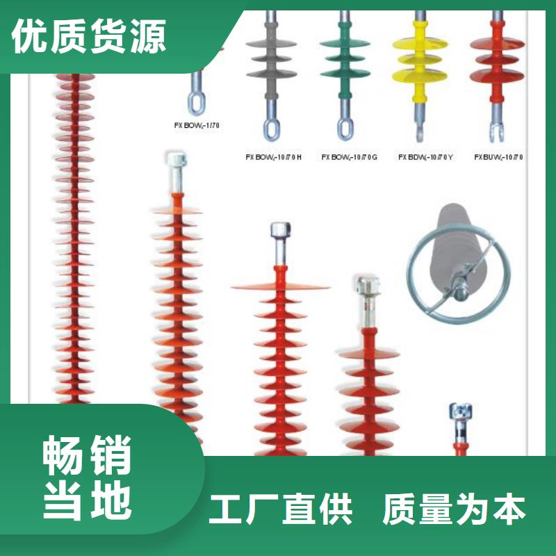 FZSW-110/16复合绝缘子