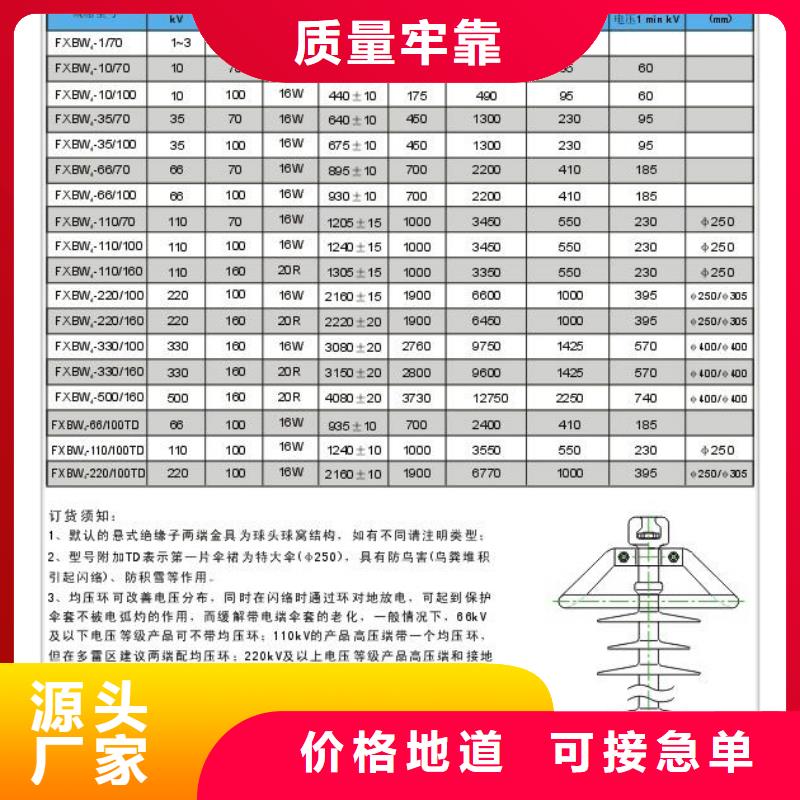 ZJ-10KV/85*145高压绝缘子