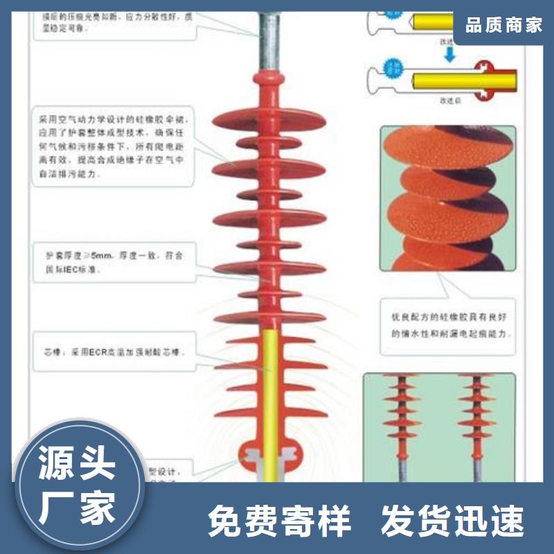 FPQG4-10/5T20硅胶绝缘子樊高