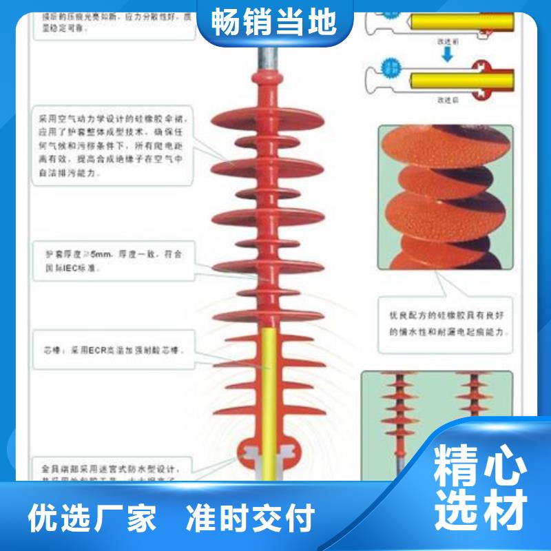 FZSW-72.5/10高压复合绝缘子