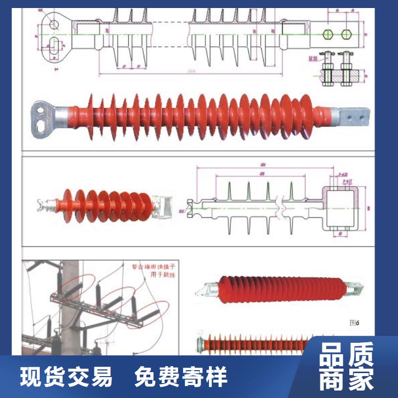 FXBW3-110/100高压复合棒型绝缘子